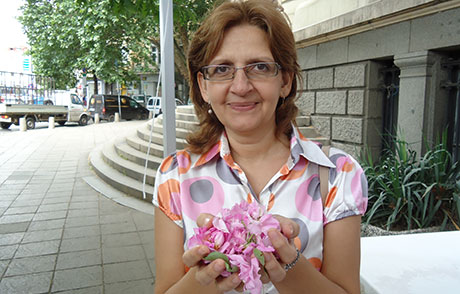 Непочтеността е най-голямата заплаха за българската роза