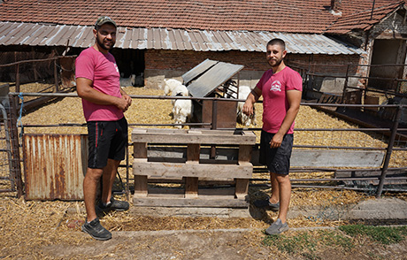 Вдъхновени от кукерството, двамата братя Колчакови отглеждат и съхраняват Калоферската дългокосместа коза 