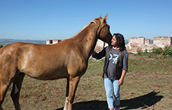 Каролина Георгиева на кръстопът – ще превърне ли коневъдството в процъфтяващ бизнес или ще се откаже