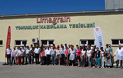 Лимагрейн – номер едно при слънчогледа в Турция