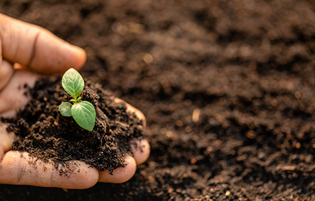 Варуването на почвата - за поддържане на земята в добро земеделско и екологично състояние