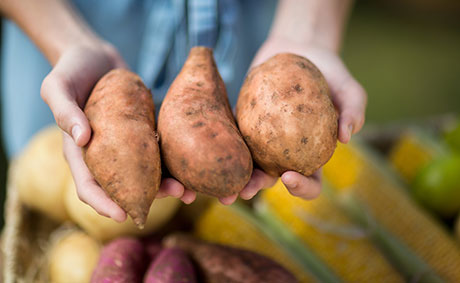Близо 80 000 т разлика в статистиката за картофите