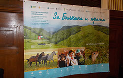 „Местни хора – бизнес – природа“ – преоткритият модел на проекта „За Балкана и хората“