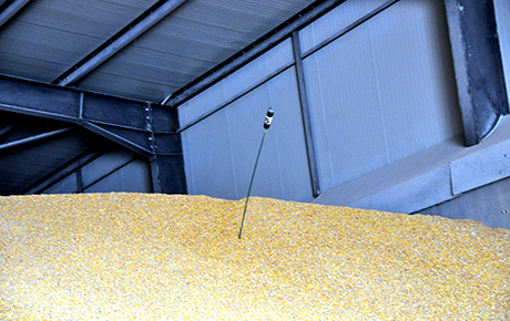 В складовете си Кирил Жендов инсталирал системи за вентилация и мониторинг на температурата на зърното