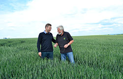 Axereal – лидер в зърнената индустрия в Европа