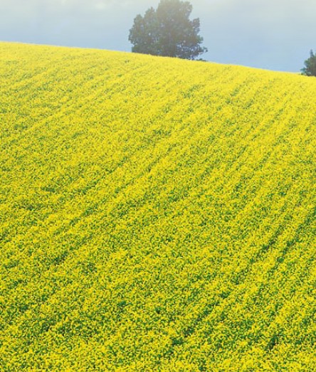 „Лимагрейн”: Артога е на върха през 2010 г.! Оценен високо от фермерите в цяла Европа 
