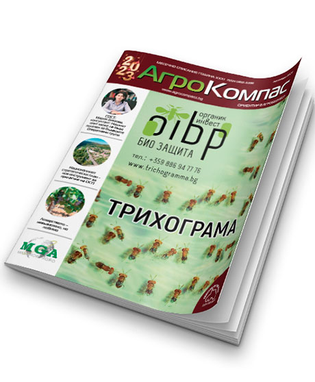 БРОЙ ДЕКЕМВРИ 2022