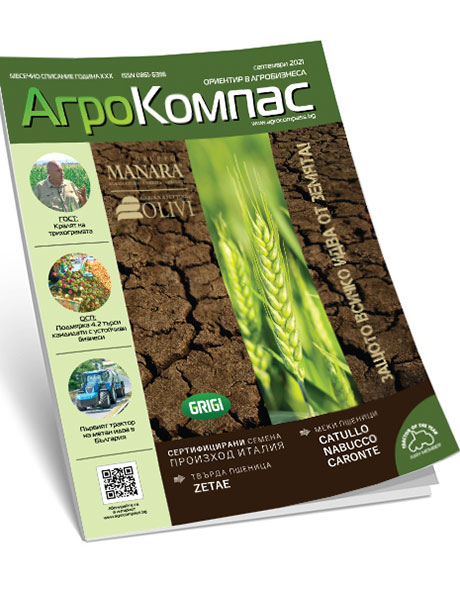 БРОЙ СЕПТЕМВРИ 2021