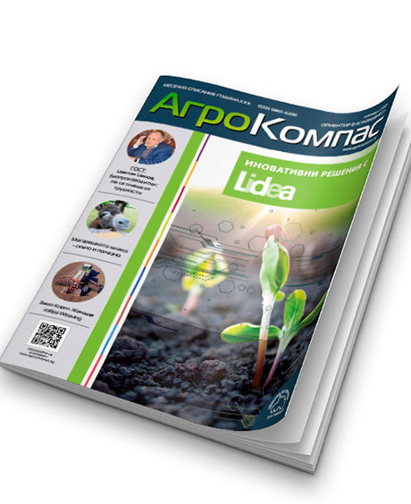 БРОЙ НОЕМВРИ 2021