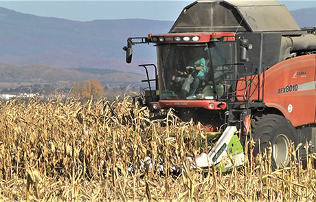 При Но-тил – питай патило!