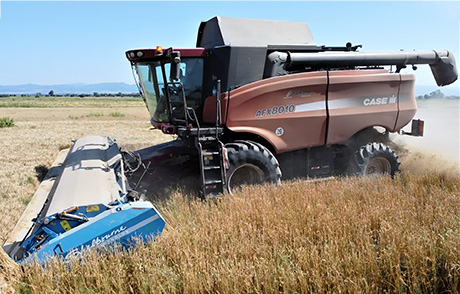 Shelbourne осигурява по-високи добиви – как?