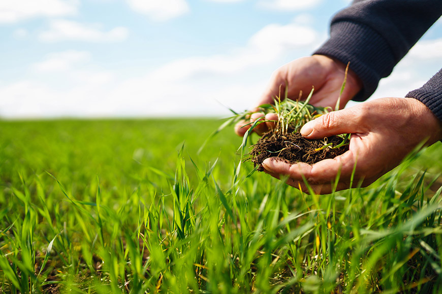 Биорешения от Corteva Agriscience™ за 2025 г.