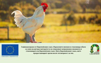 Следващата глава за ОСП