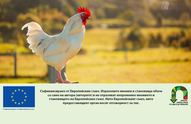 Следващата глава за ОСП