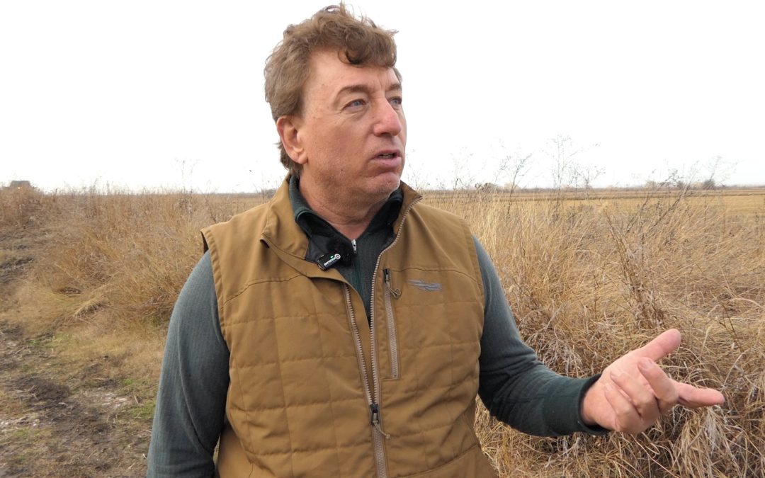 От САПАРД до 23 хиляди декара ориз: как европейските субсидии създадоха най-големия оризопроизводител у нас