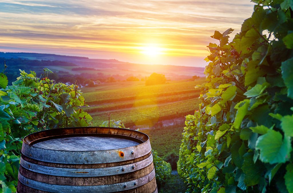 Съветът одобри модернизирана рамка в подкрепа на лозаро-винарския сектор в ЕС