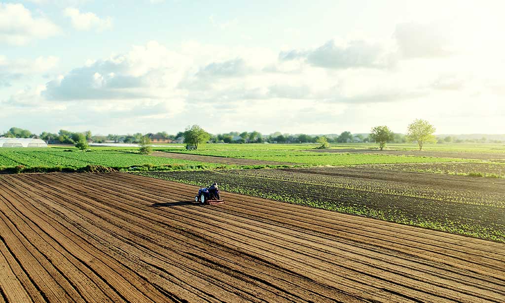 Националната служба за съвети в земеделието предлага 12 безплатни съветнически пакета за фермерите