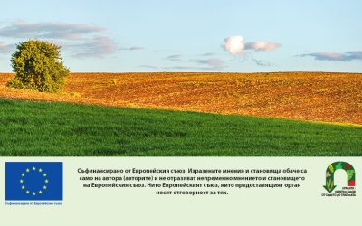 Регламент „Омнибус“: по-бързи процедури и по-малко проверки за фермерите