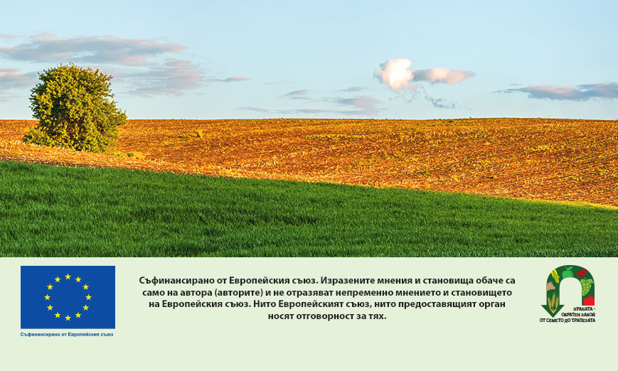 Регламент „Омнибус“: по-бързи процедури и по-малко проверки за фермерите